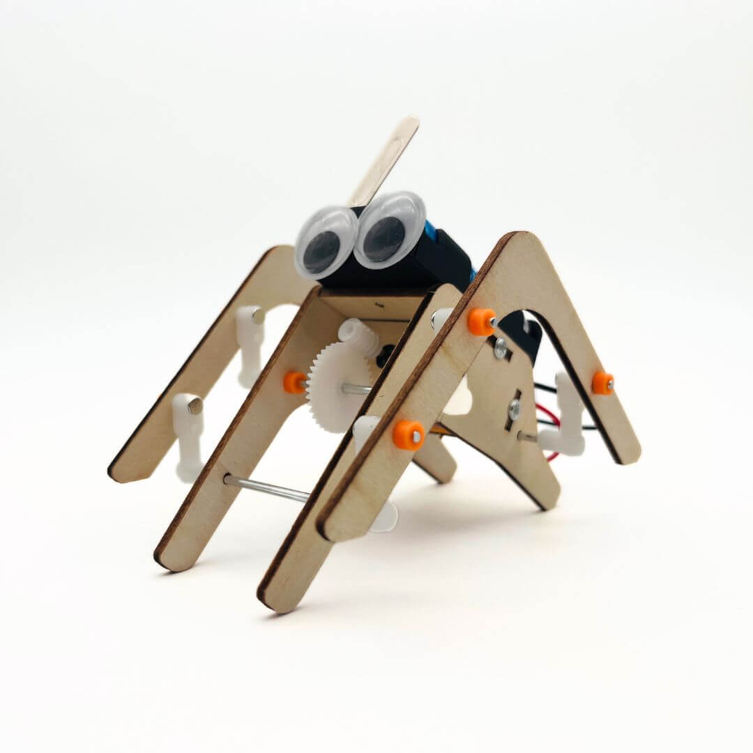 Build a Bot Coccinelle Ladybug robot interactif enfant insecte pas
